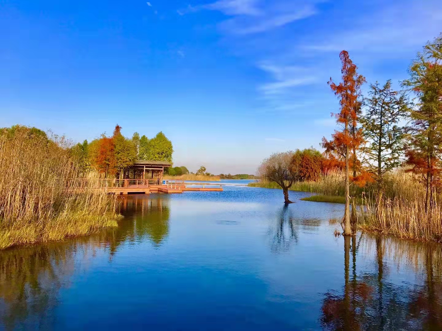 梁鸿国家湿地公园,主题景区,无锡鸿山旅游度假区