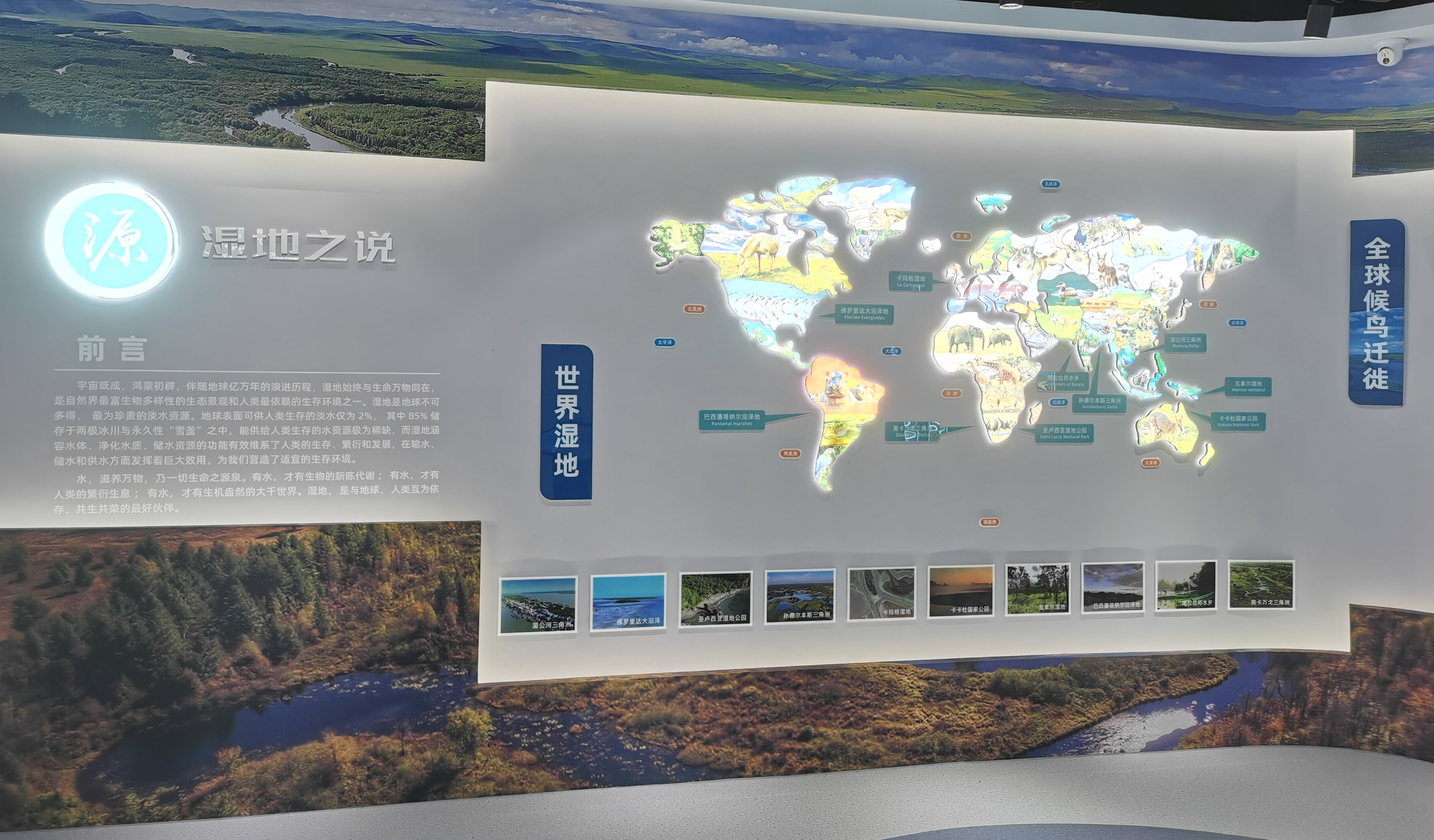 展厅二：湿地之说